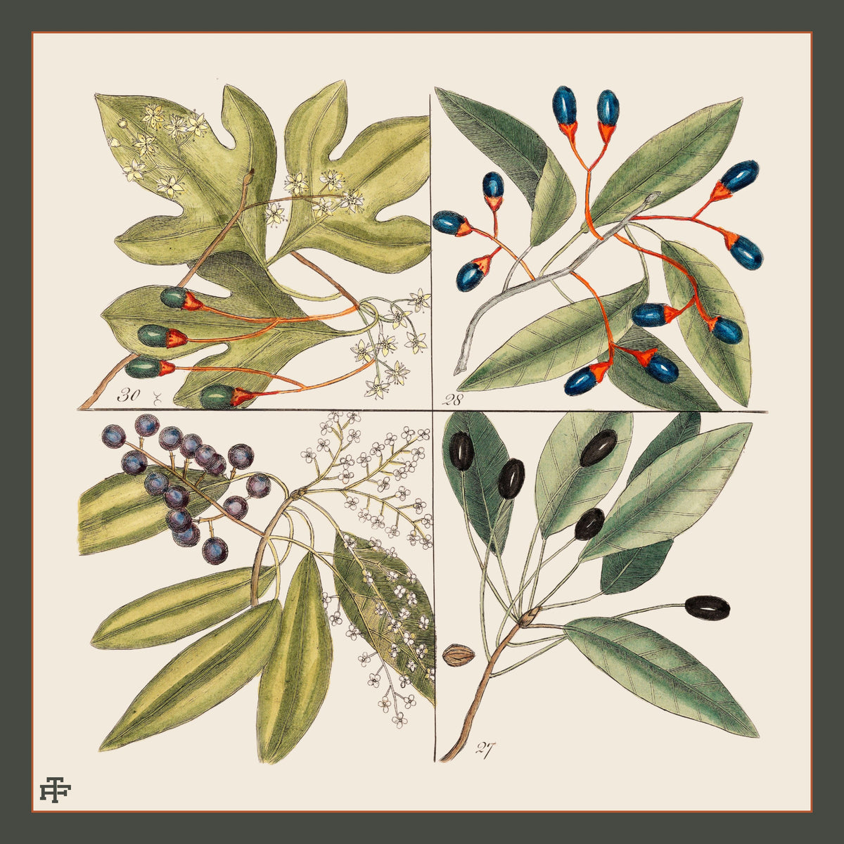 Tacori XO Beaver Silk Scarf