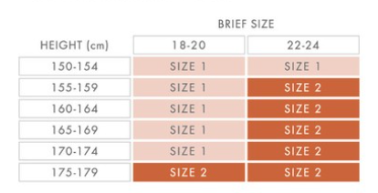 Clio Curvy Fit Slimming Brief - Natural