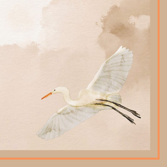 Dawn Design Egret Blush Silk Scarf